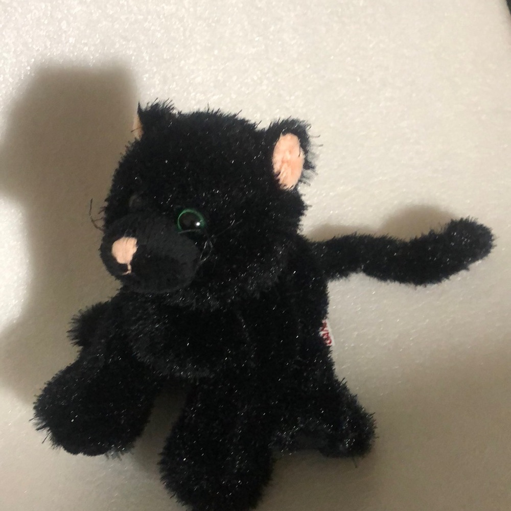Ganz black cat